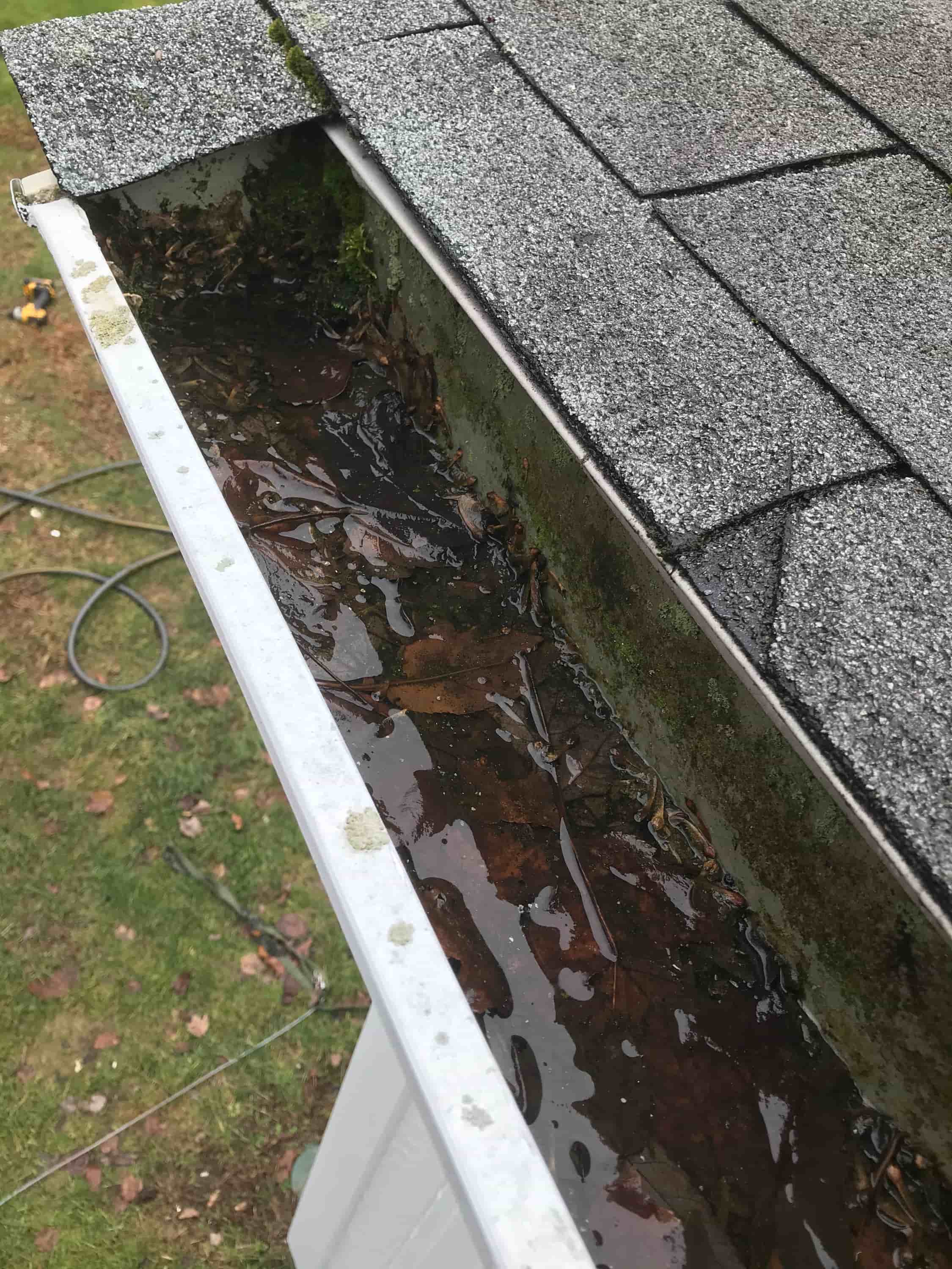 gutter cleaning pro