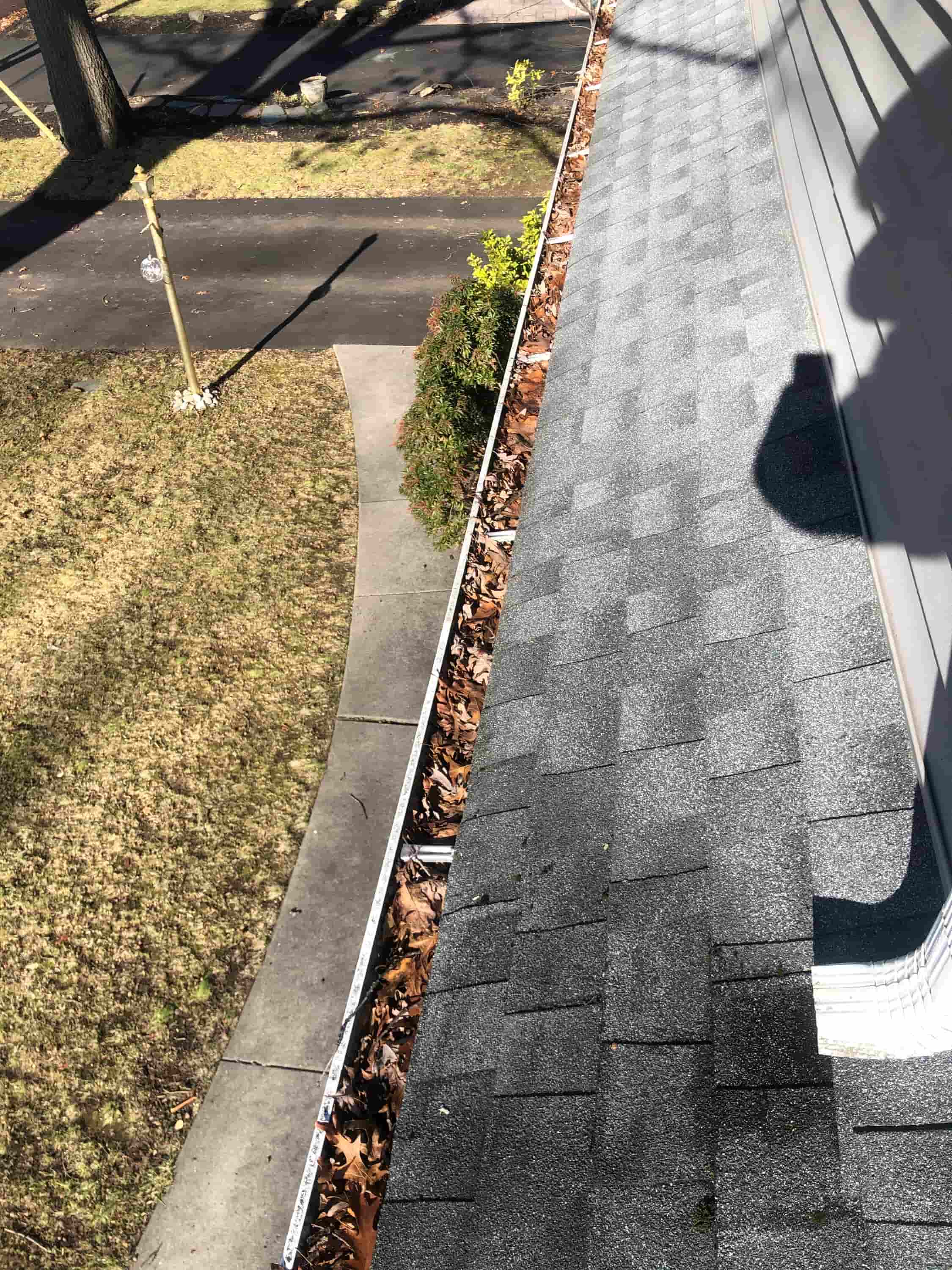gutter cleaning how much