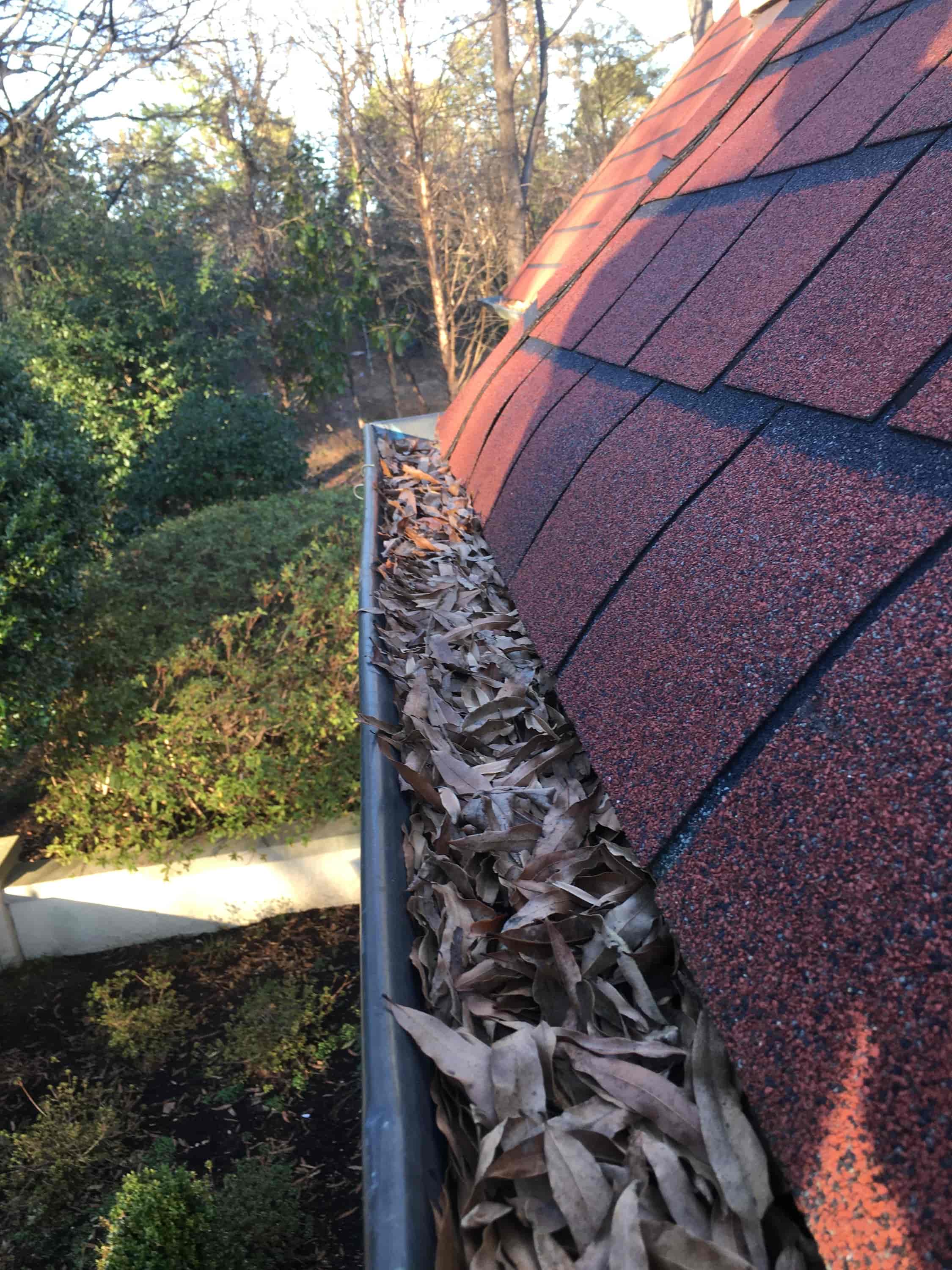 blowing leaves off roof