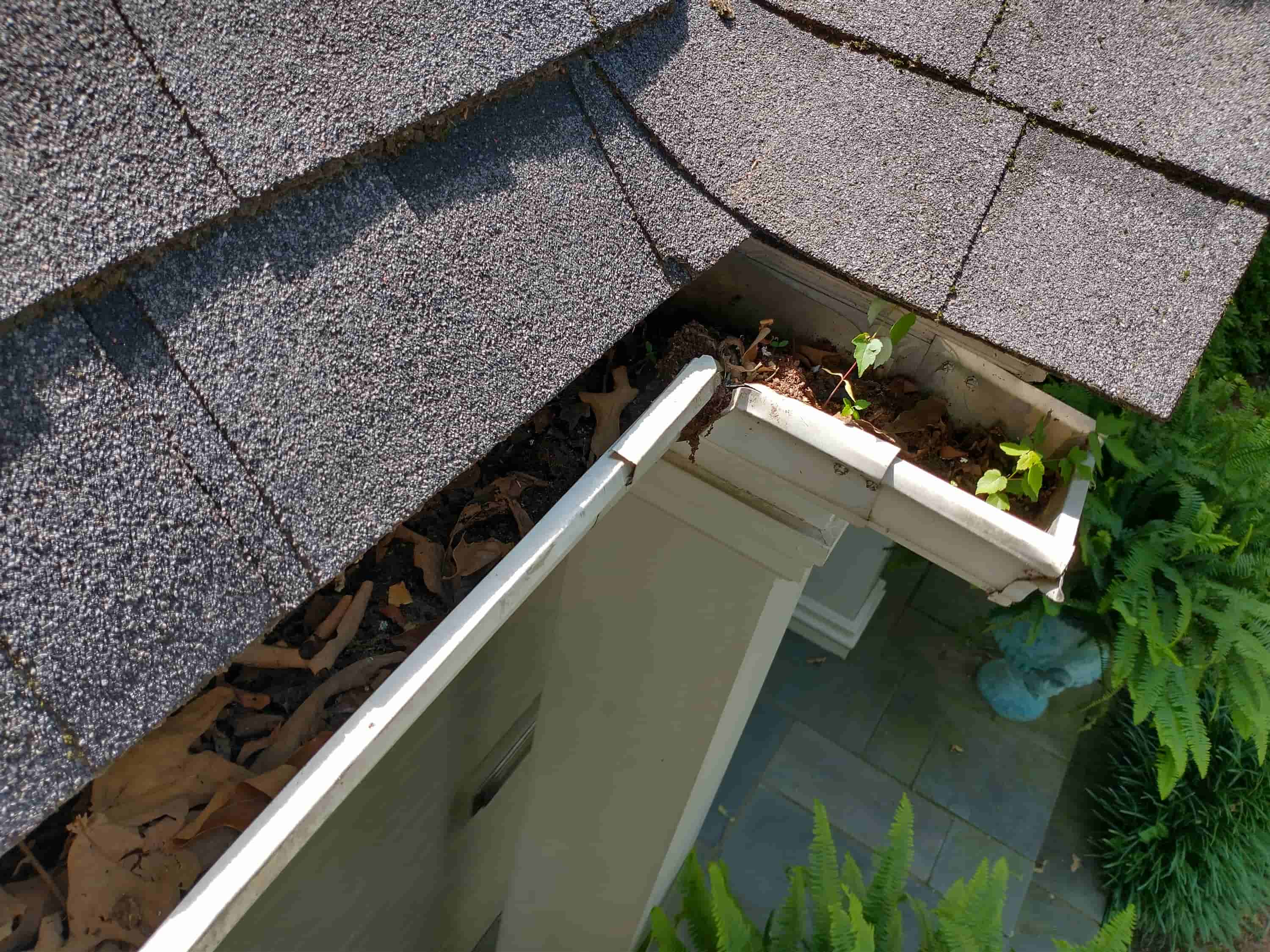 why clean your gutters