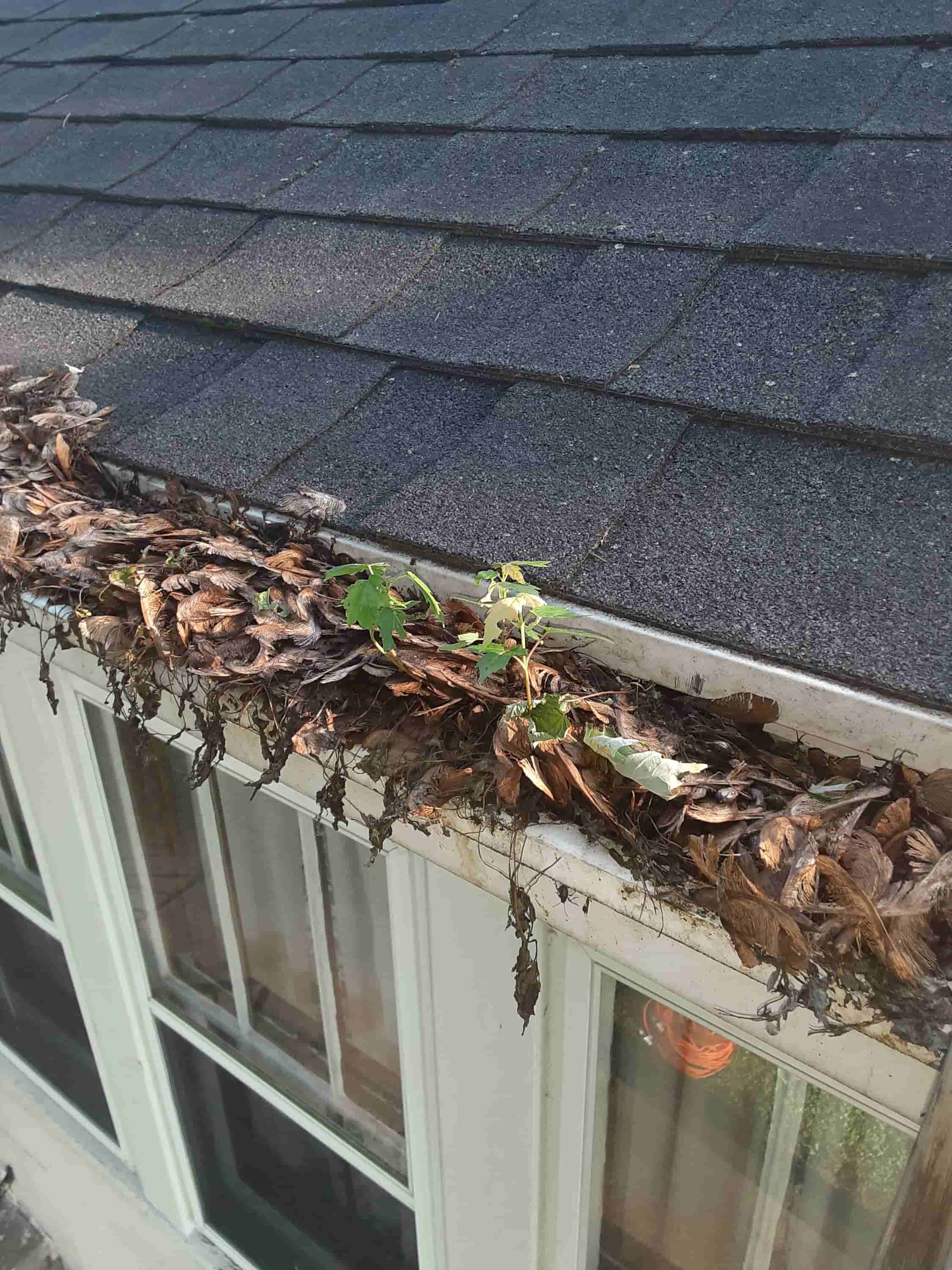 any gutters cleaned