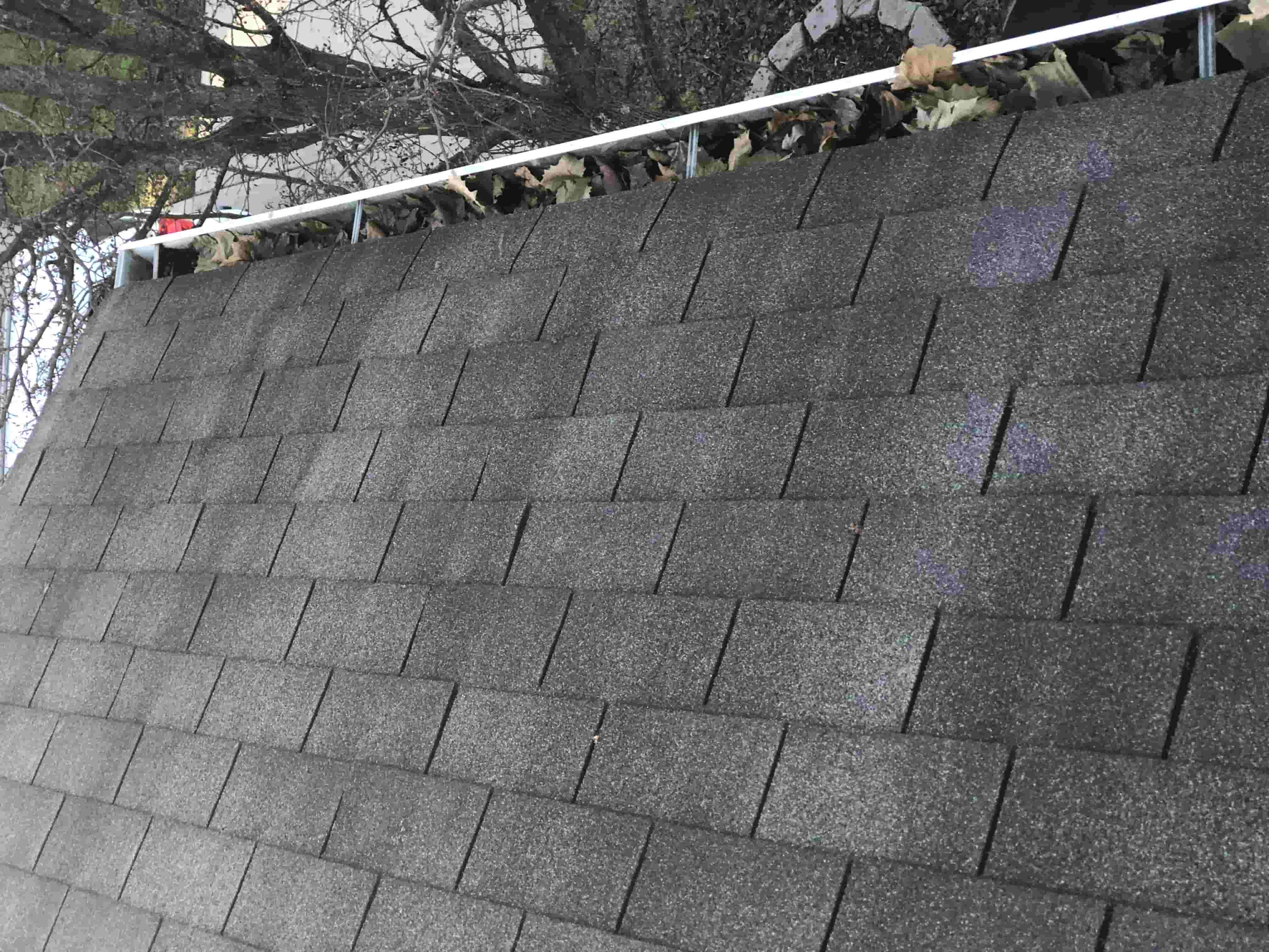 clean gutters with gutter guards