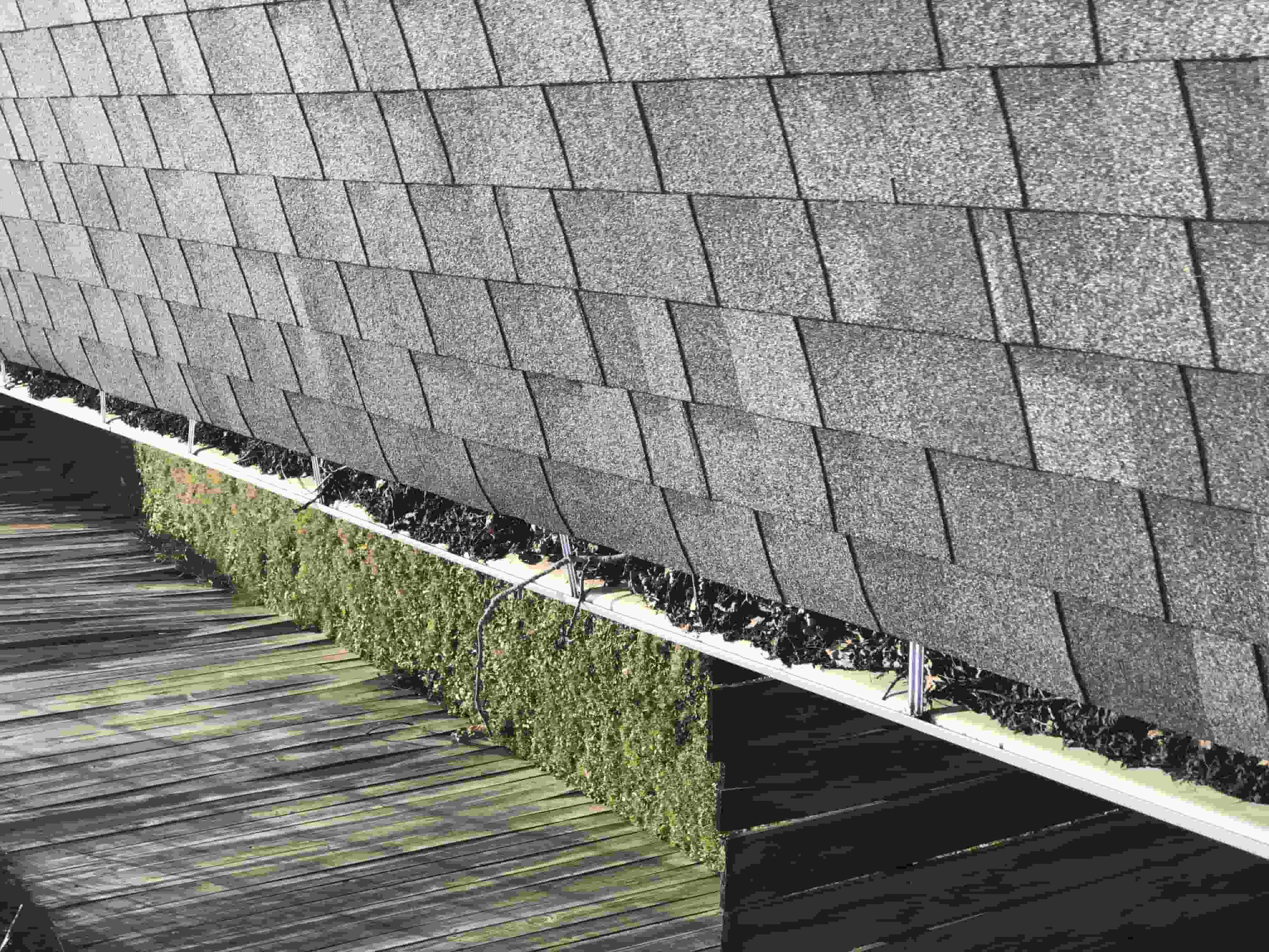 people who clean gutters