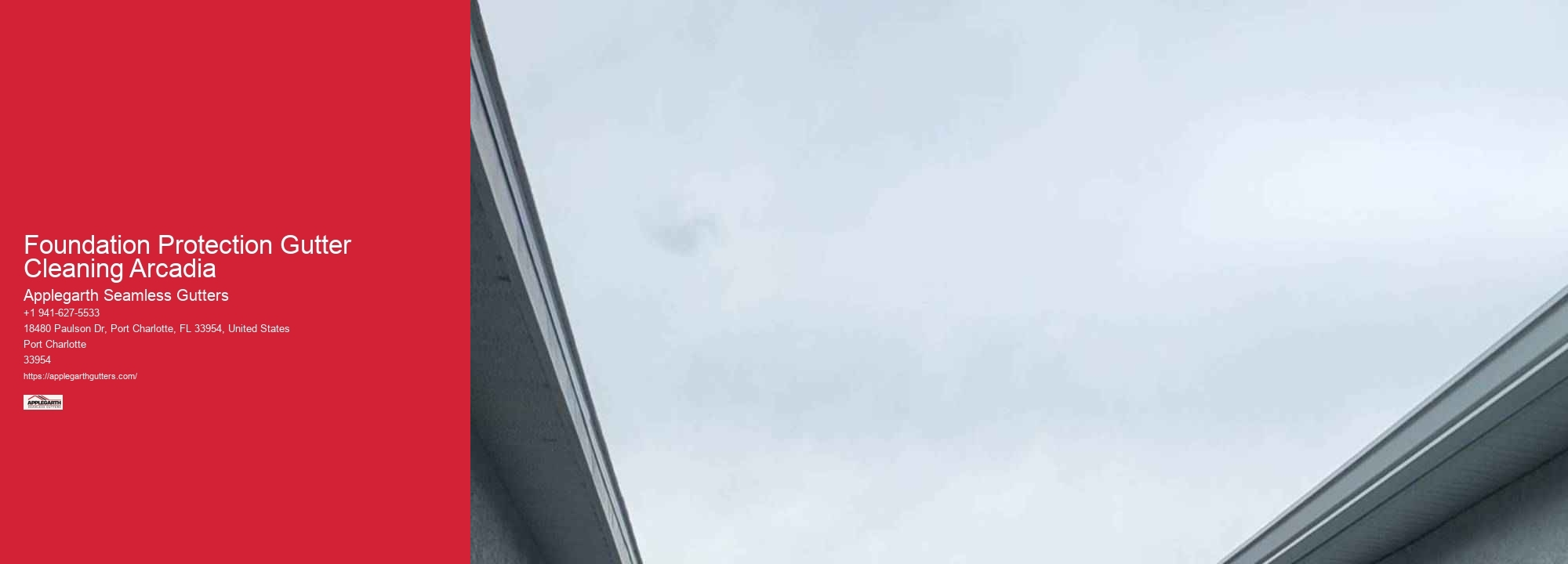 Foundation Protection Gutter Cleaning Arcadia