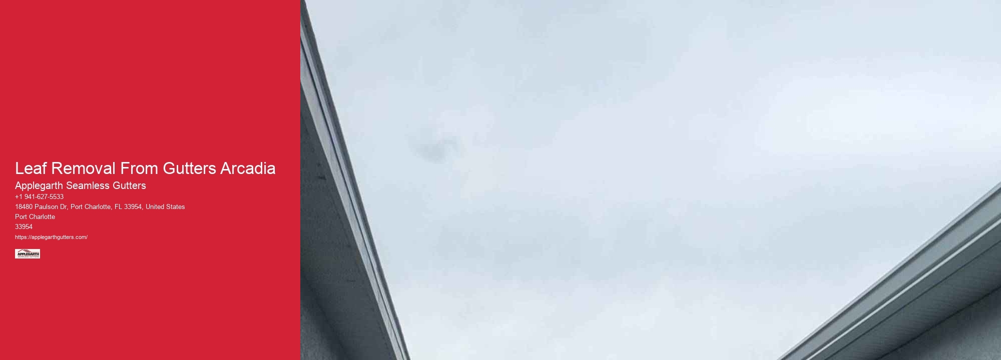 Leaf Removal From Gutters Arcadia