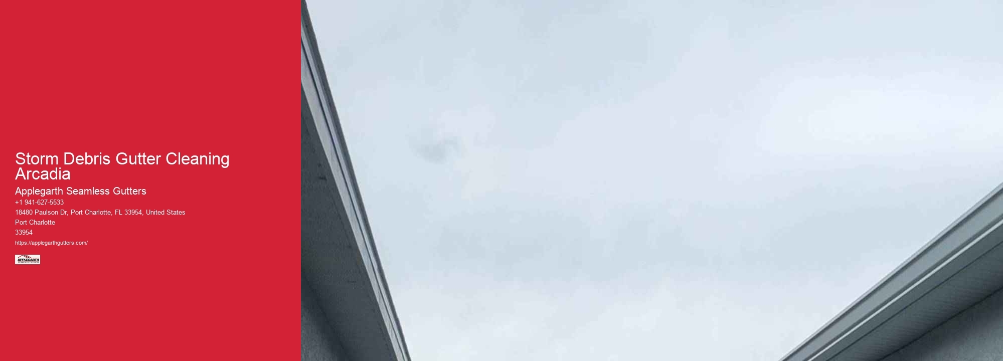 Storm Debris Gutter Cleaning Arcadia