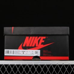 L Air Jordan 1 High OG PollenAJ1 1 555088701