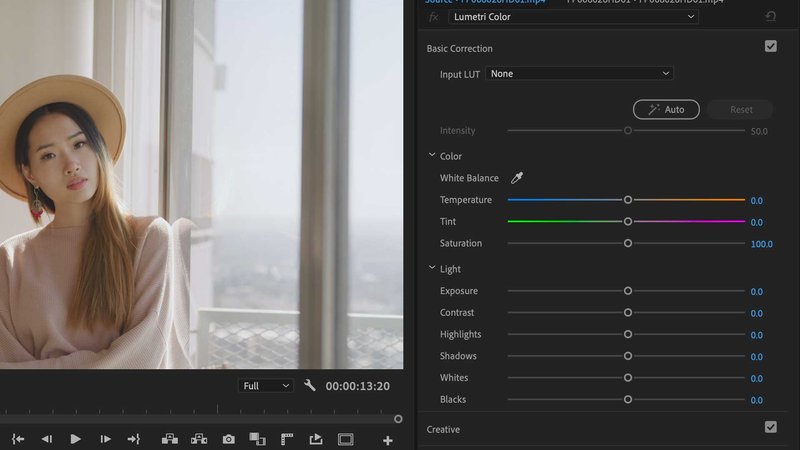 Premiere Pro Lumetri Color Panel - Basic Correction