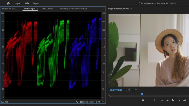 Premiere Pro Lumetri Scopes RGB Parade