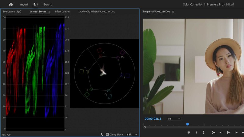 Premiere Pro Lumetri Scopes RGB Parade and Vectorscope