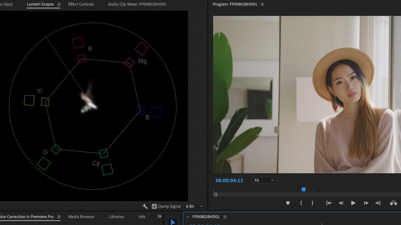 Premiere Pro Lumetri Scopes - Vectorscope