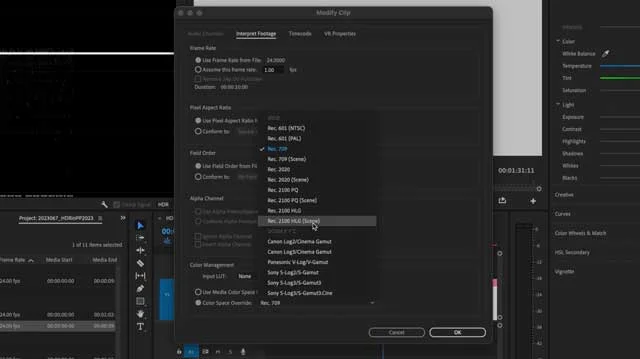 premiere-pro-color-space-override