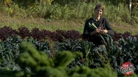 Whole Foods Midwest : Make it Local : Driftless Organics