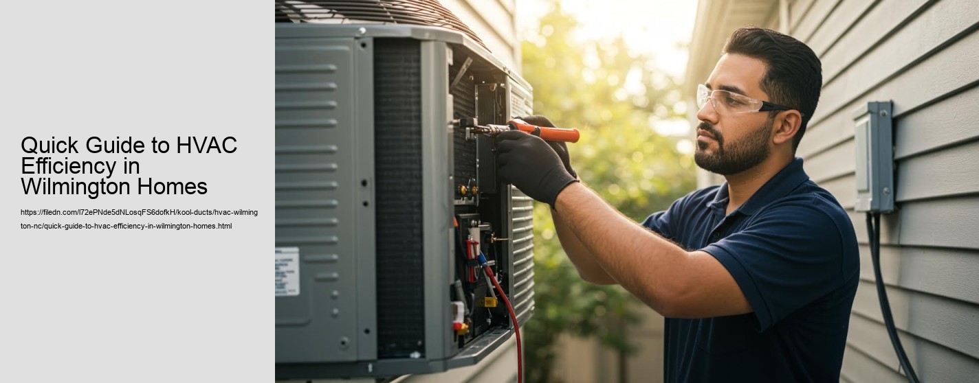 Quick Guide to HVAC Efficiency in Wilmington Homes
