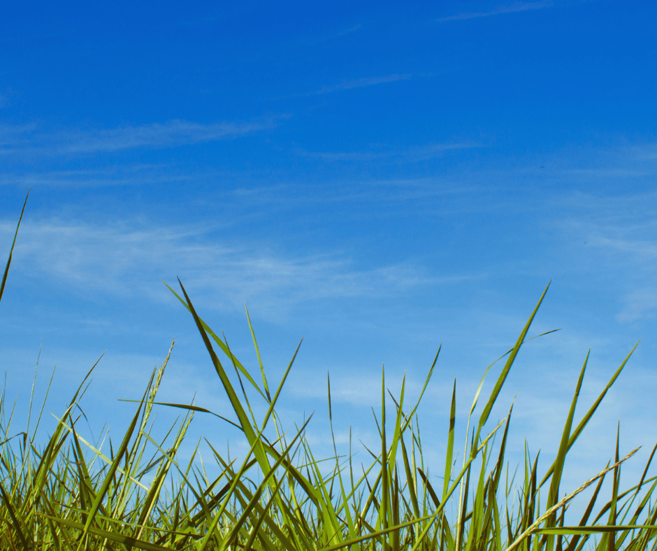 Why Your Upstairs Stays Hot in Alpharetta One Hour Heating & Air Conditioning Why Your Upstairs Stays Hot in Alpharetta