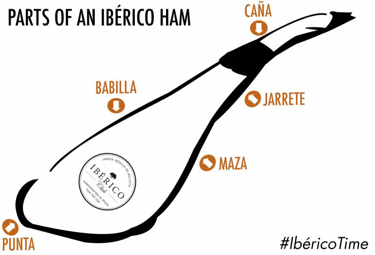 Anatomy of Iberico Ham | Parts of an Iberian Ham