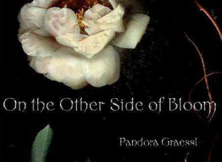 Exposición de Pandora Graessl