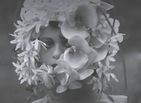 Exposición "Una obsesión de las flores"