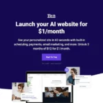 b12 io