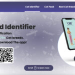 Cat Identifier