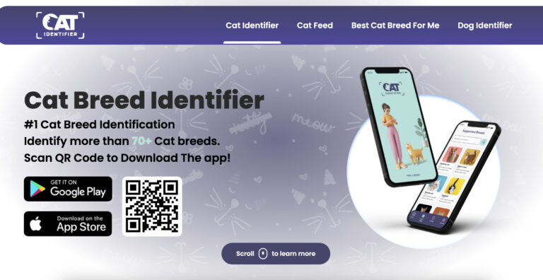 Cat Identifier