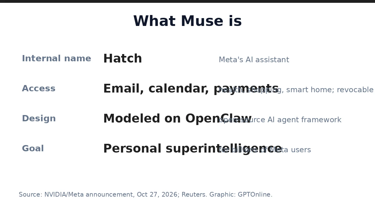 What Muse is