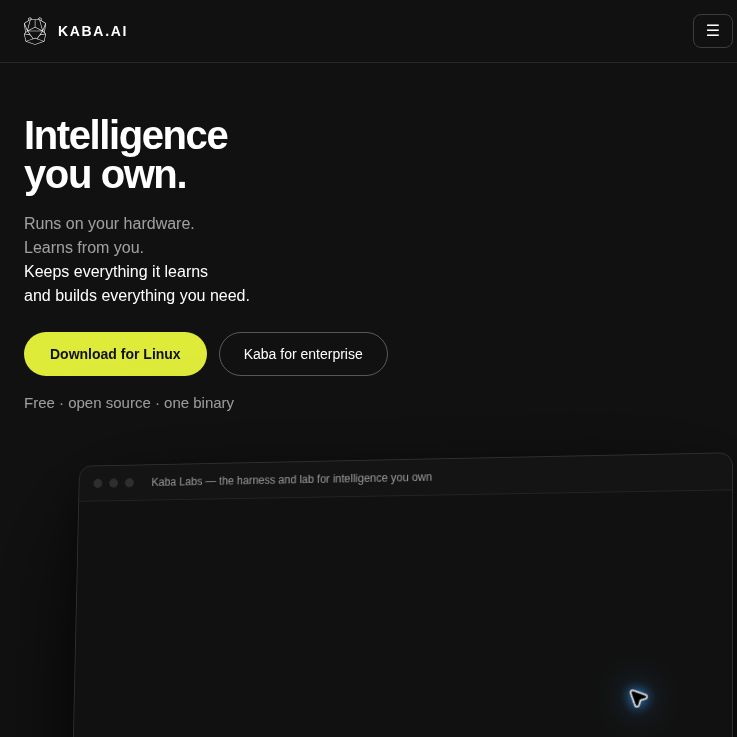Kaba homepage with Intelligence you own headline and Download for Linux button.