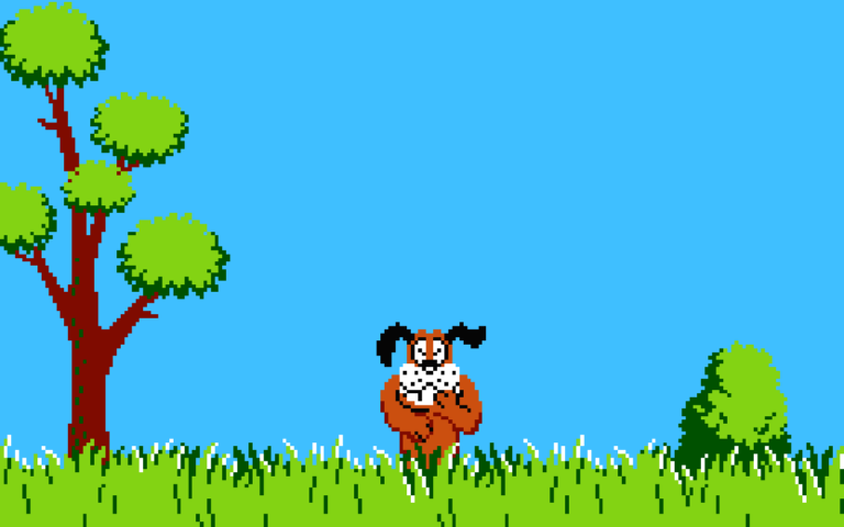 Duck Hunt Unblocked online