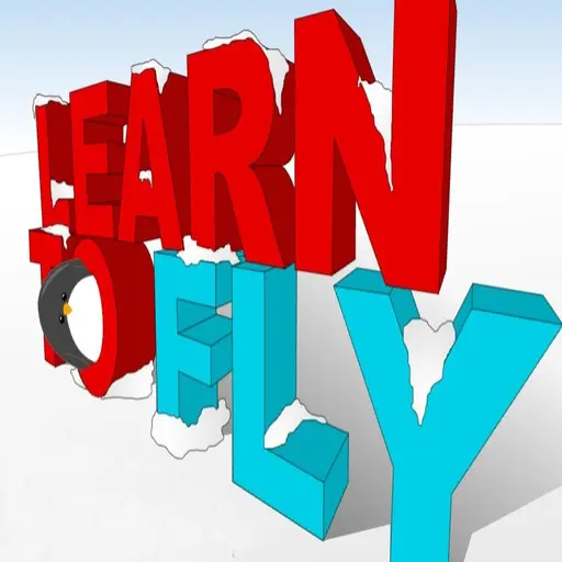 Learn to Fly 1