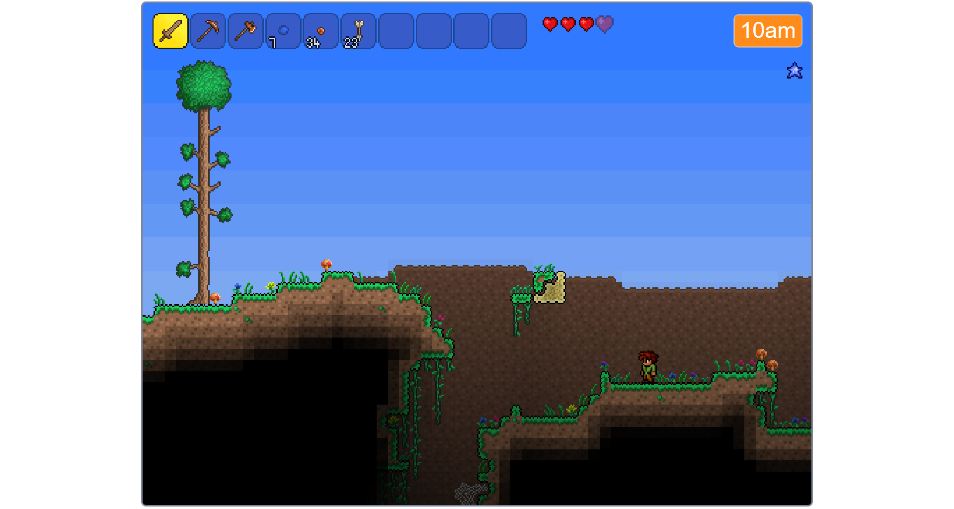 Terraria 3