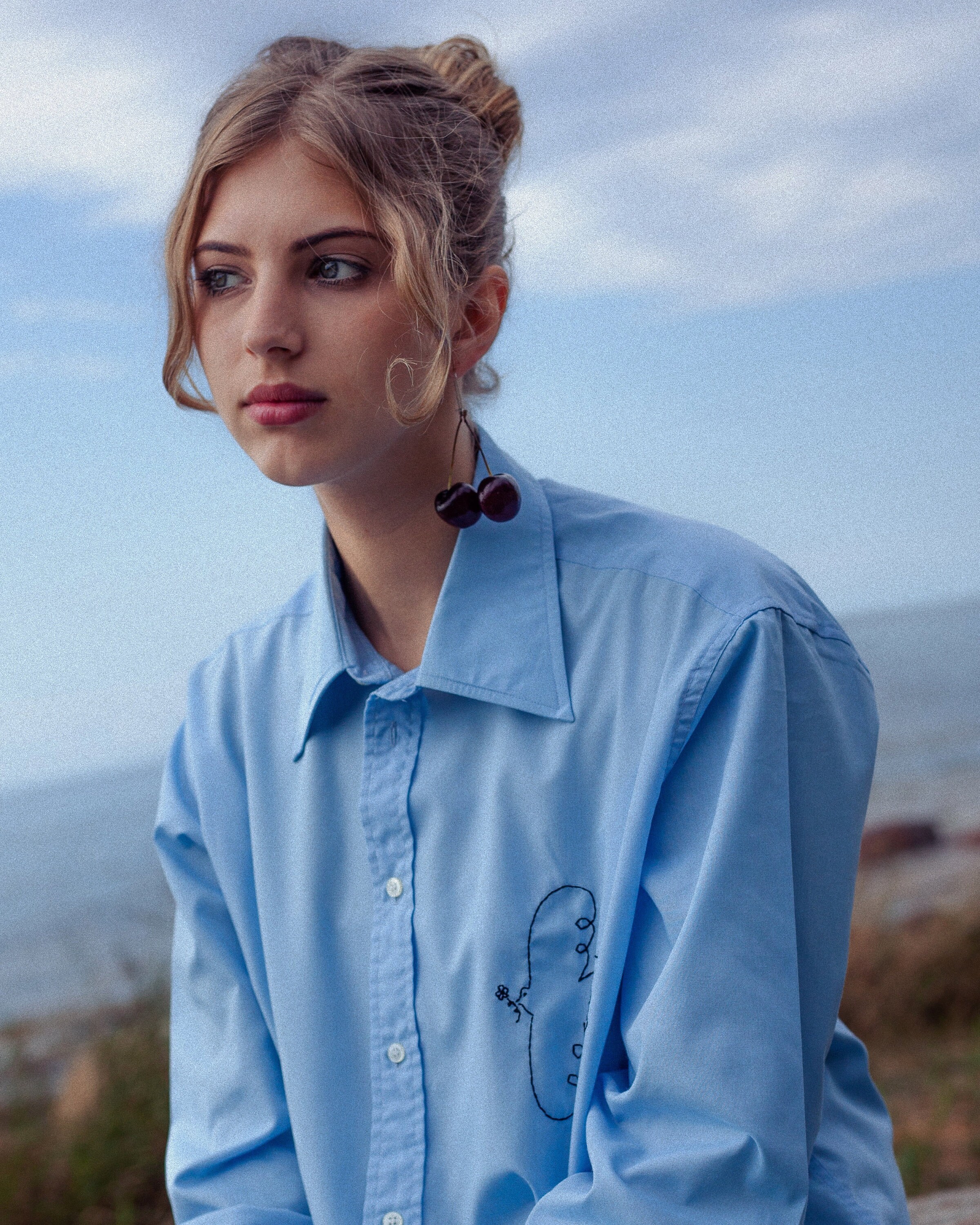 Hand Embroidered Oversized Shirt In Baby Blue