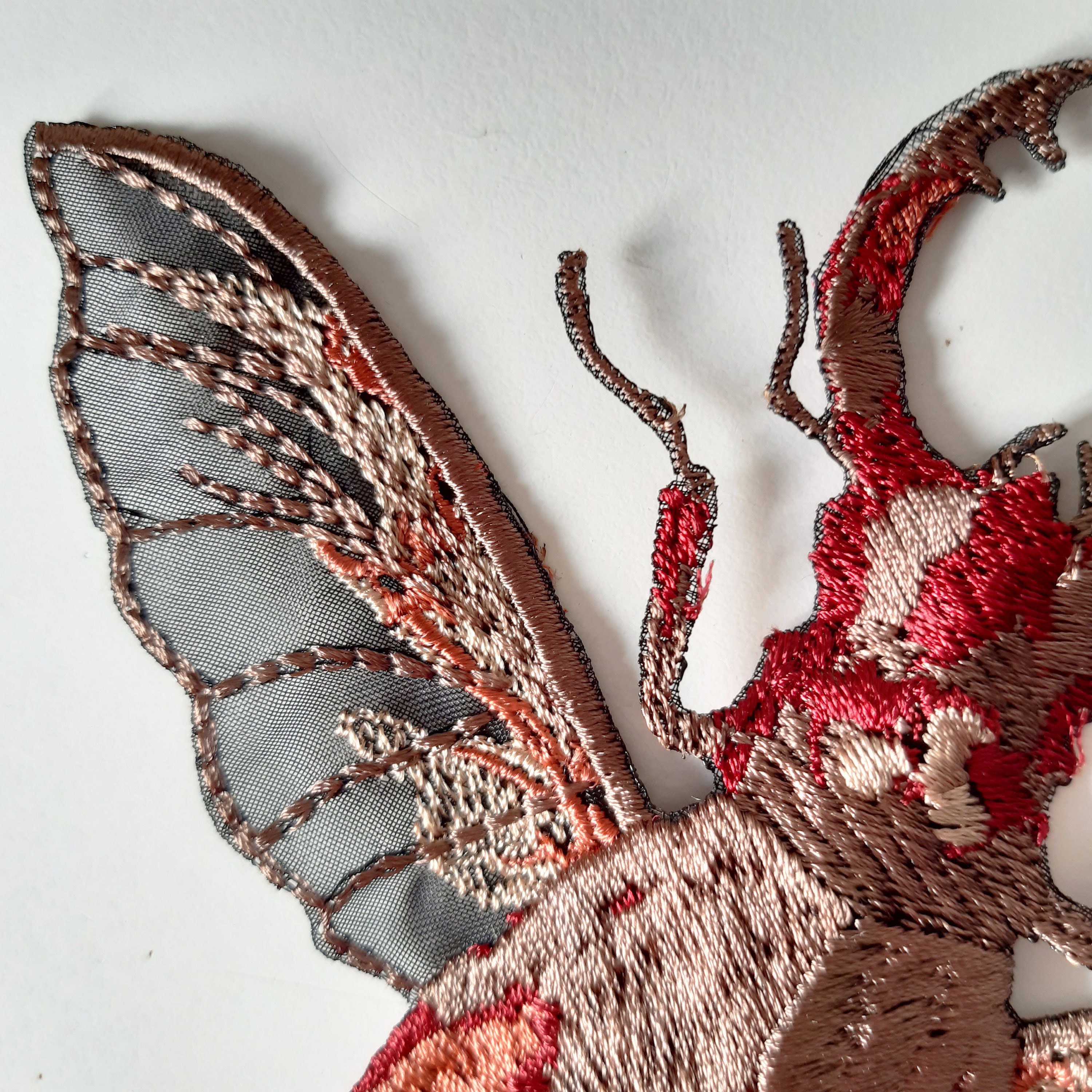 Moks415p Stag Beetle Embroidered Patch Nature Patch