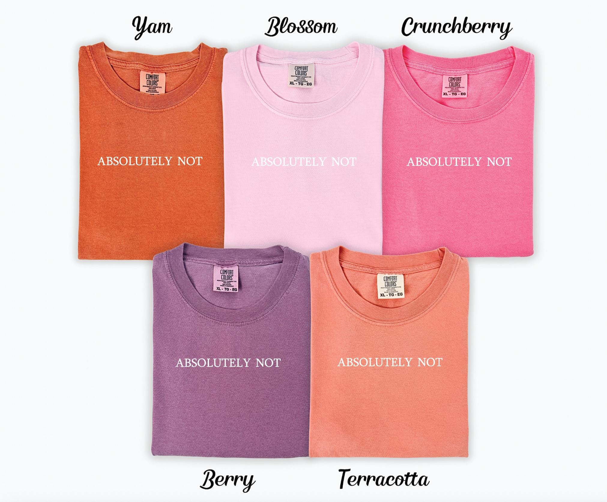 Absolutely Not T-shirt - Embroidered Comfort Colors T-shirt - Embroidered T-shirt - Trending Shirts - Choose Your Own Thread Color! -