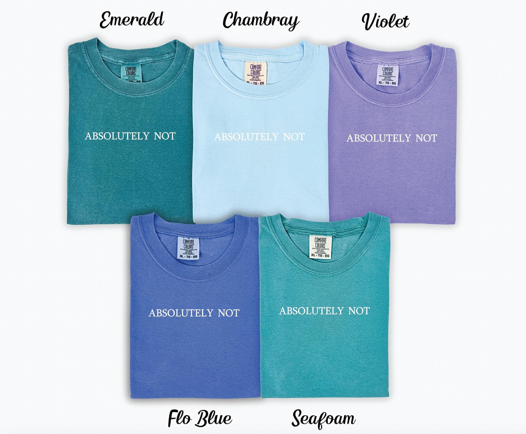 Absolutely Not T-shirt – Embroidered Comfort Colors T-shirt – Embroidered T-shirt – Trending Shirts – Choose Your Own Thread Color! –