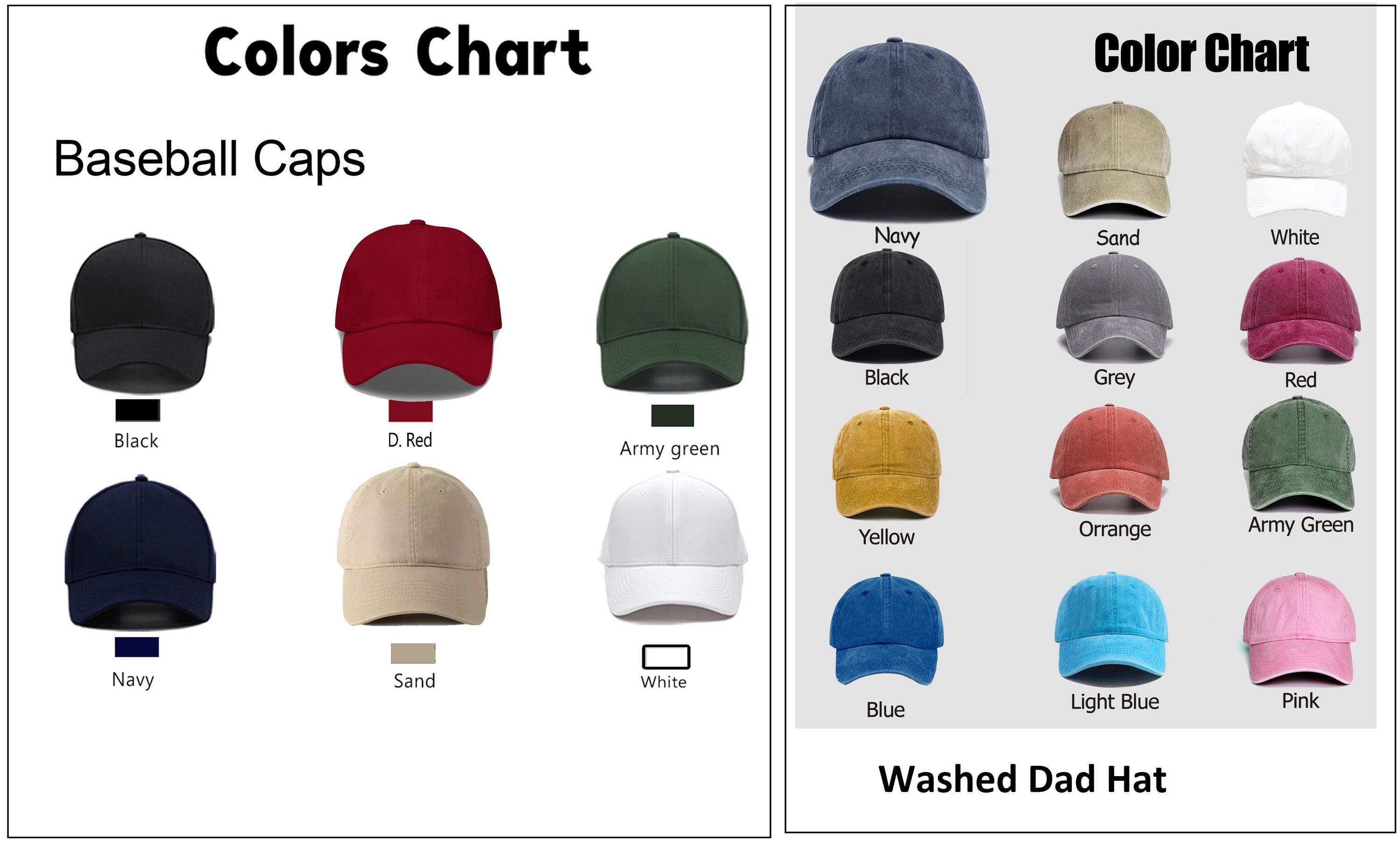 The Only Minority Destroying This Country Are Billionaires Embroidered Hat