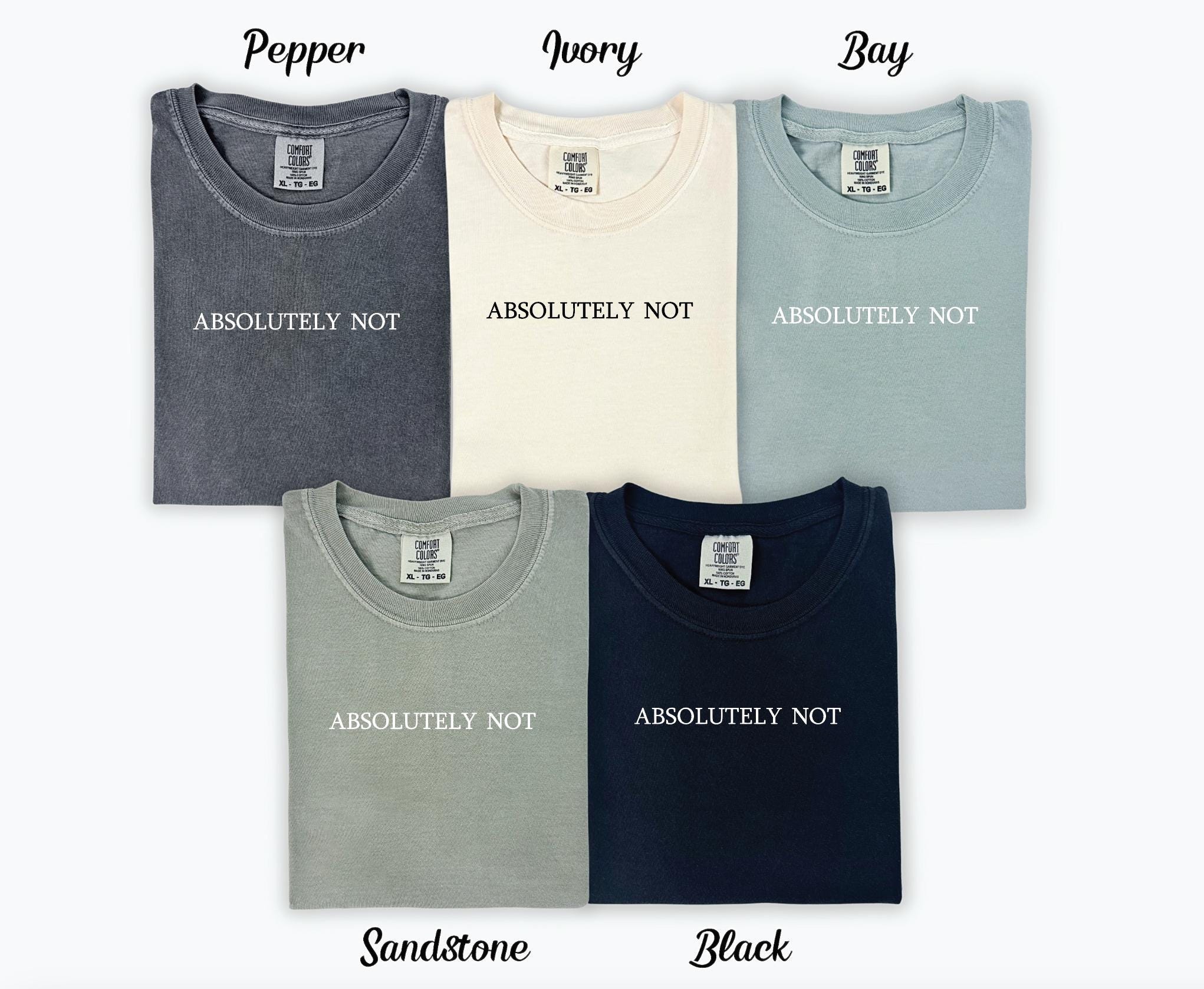 Absolutely Not T-shirt - Embroidered Comfort Colors T-shirt - Embroidered T-shirt - Trending Shirts - Choose Your Own Thread Color! -
