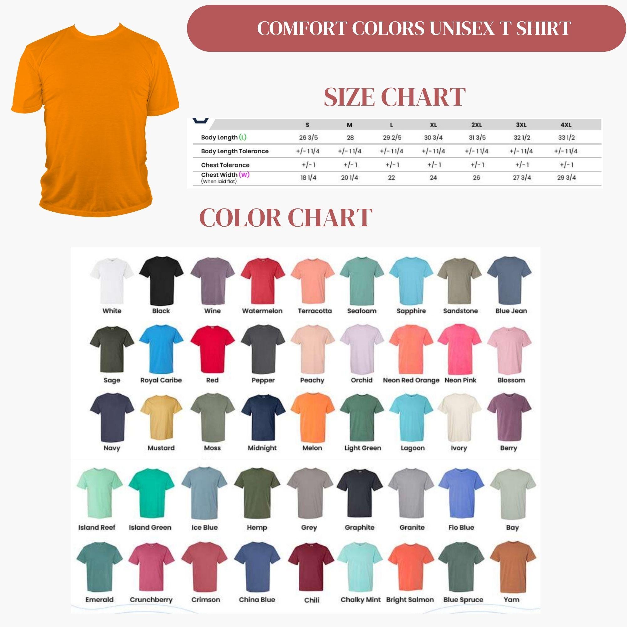 Tax The Rich Comfort Colors Shirt Tax Season Shirt Tax Day Shirt Funny Tax Shirt Funny Accountant Shirt Retro Tax Shirt Anti Trump