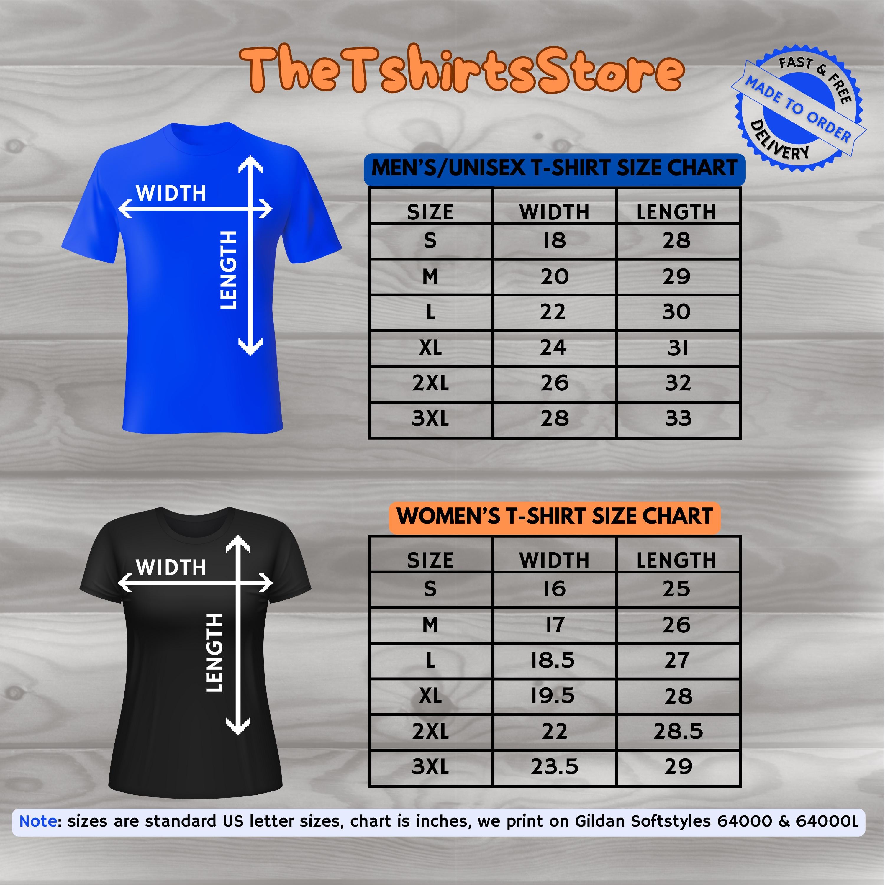 Accountant Gift T-shirt Tax Season Stress Relief Co Worker Gifts For Accountants Enron Scandal Funny Shirt