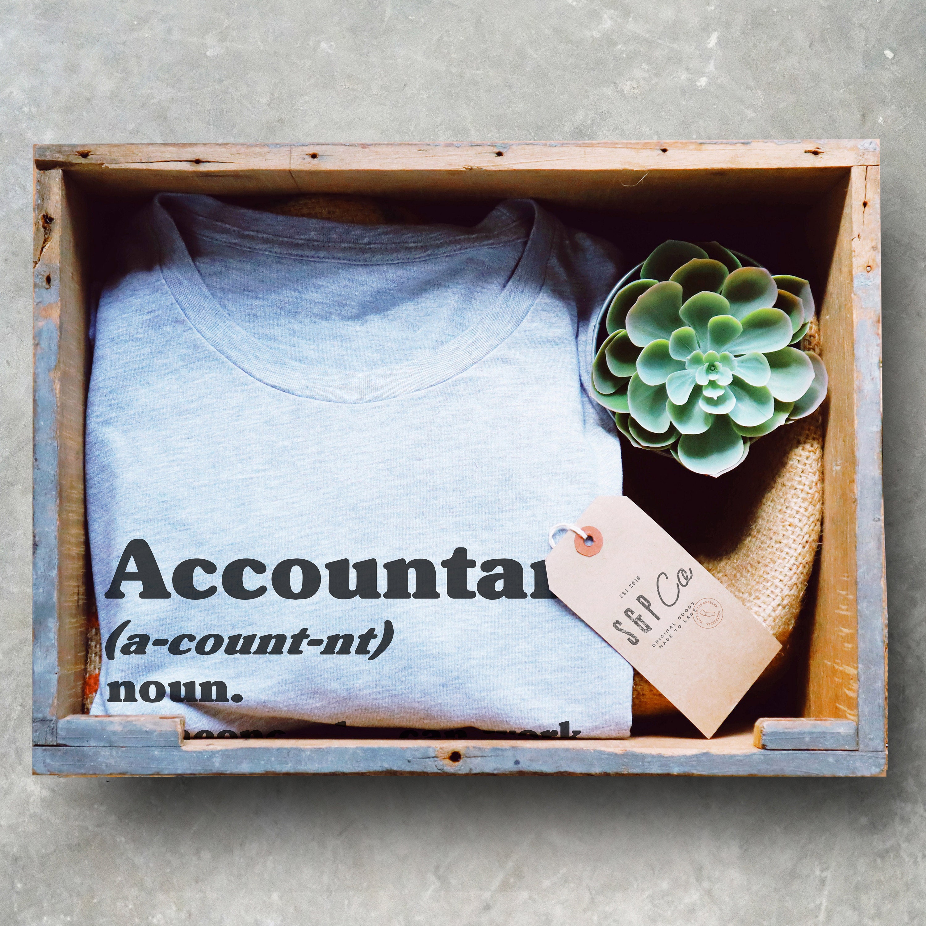 Accountant Definition Unisex T-shirt - Accountant Shirt Accountant Gift Accountant Accounting Degree Accountant Jokes