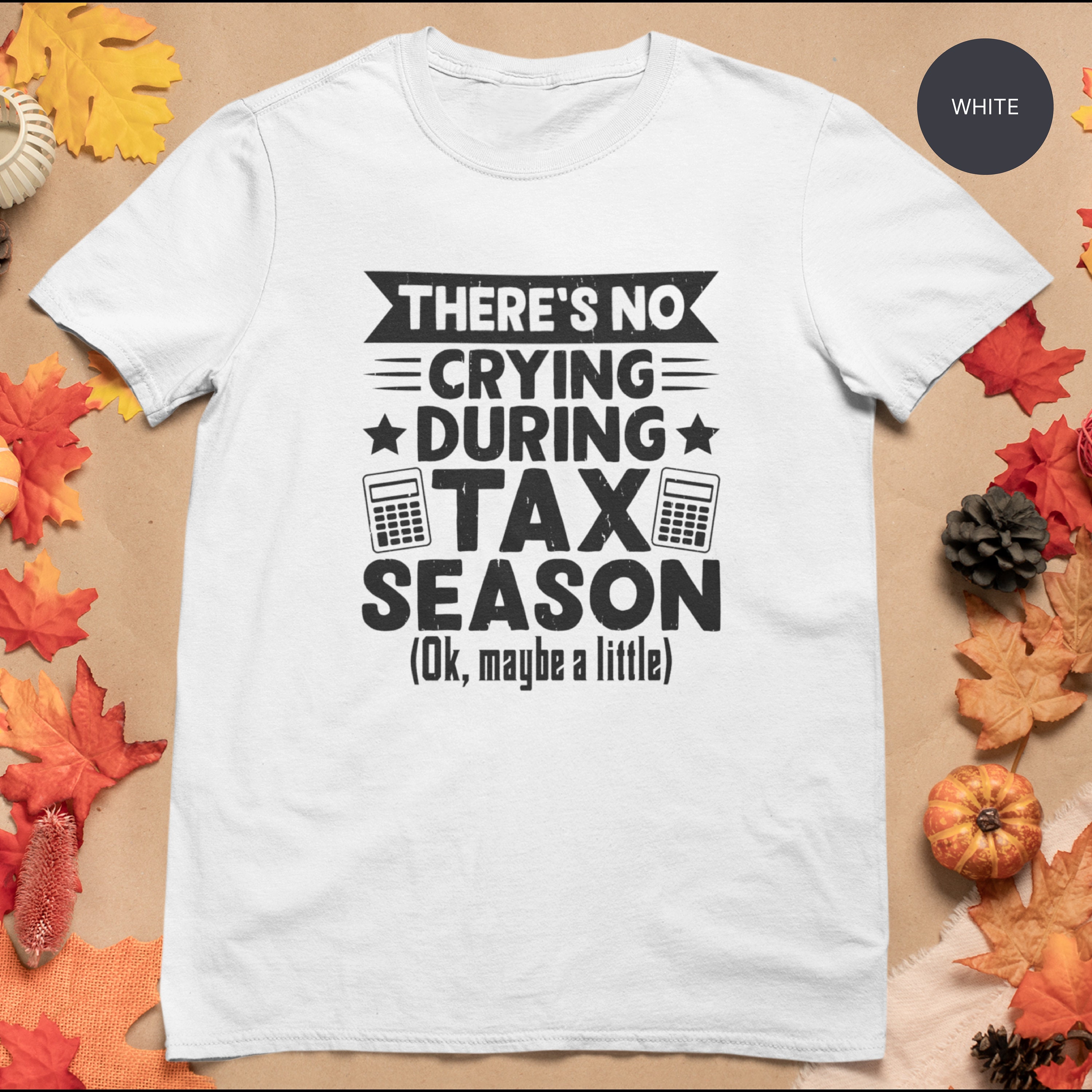 Funny Accountant T-shirt Unisex Accountant Gift Idea Accountant Major Accountant Student Accountant Shirt No Crying During Tax Season