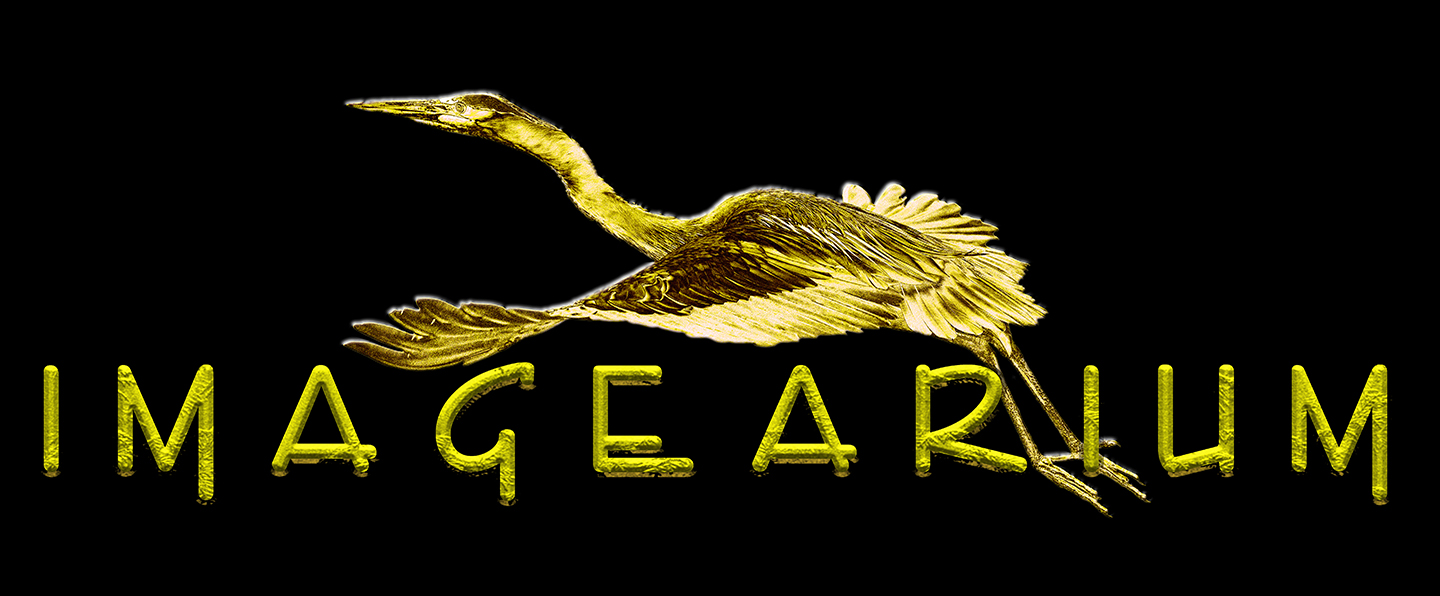 TITLE/ LOGO