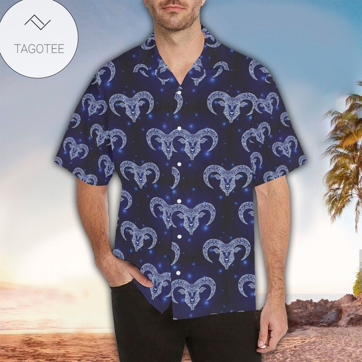 Aries Hawaiian Shirt Perfect Aries Clothing