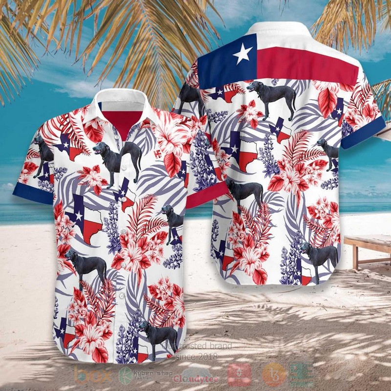 Bluemont Virginia Blue Ridge Volunteer Fire and Rescue Hawaiian Shirt