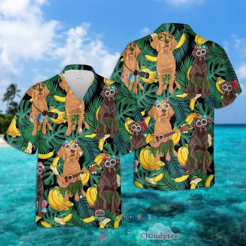 CHER The Very Best of Cher Hawaiian Shirt | Usalast