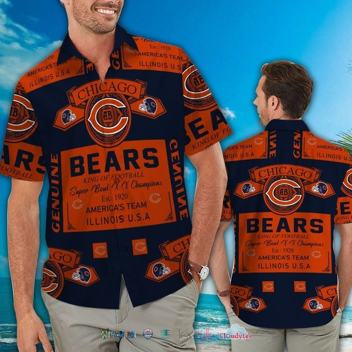 Chicago Bear Hawaiian Shirt 3D All Over Print Men Women Unisex Model 585