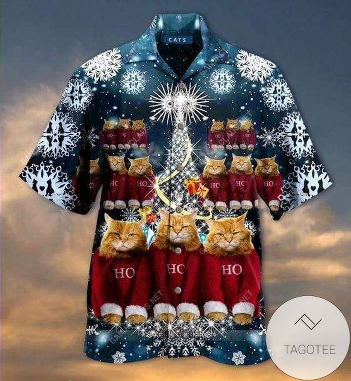 Cover Your Body With Amazing Hawaiian Aloha Shirts Christmas Santa Claus Dives