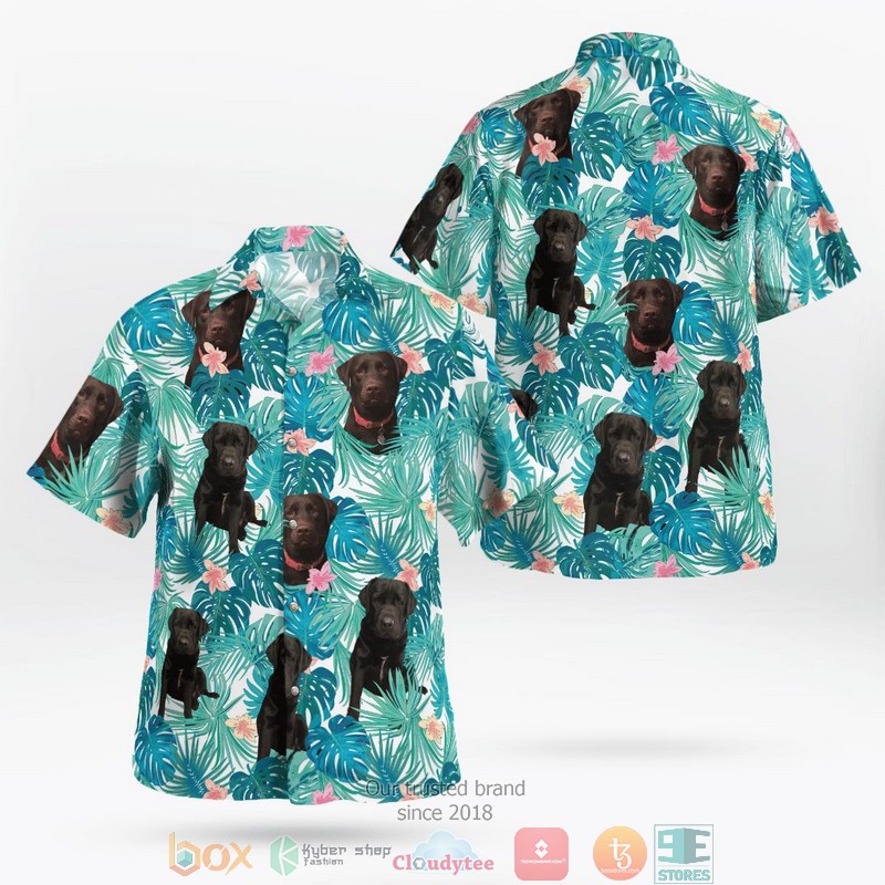 Dog Paws Tropical Black Hawaian Summer Outfit