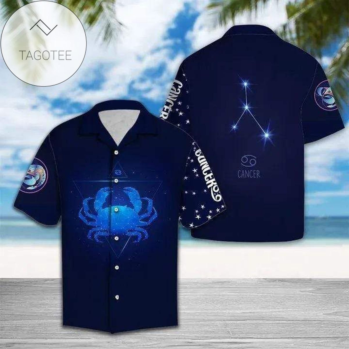 Find Capricorn Horoscope Zodiac Authentic Hawaiian Shirt 2022 Birthday Gifts