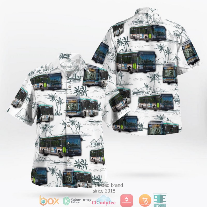 France Reseau Express Regional RER MI 2N Alteo Hawaiian Shirt