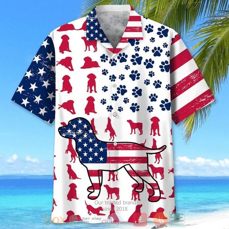 Lacrosse Beach Color Hawaiian Shirt